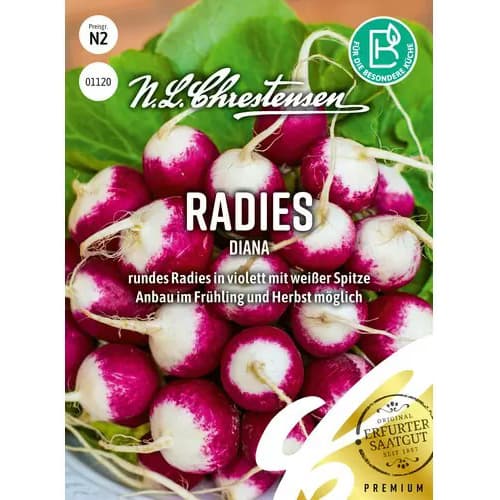 Rotkvica Sestra slika 1 interface.art 86088