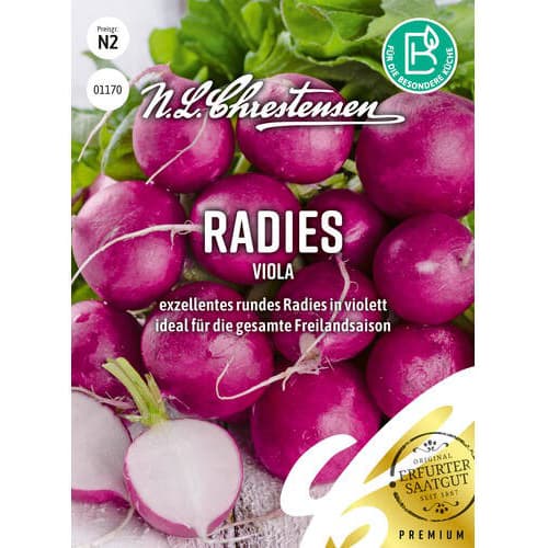 Rotkvica Viola Chrestensen slika 1 interface.art 96487