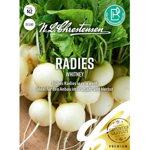 Rotkvica Whitney slika 1 interface.art 96488