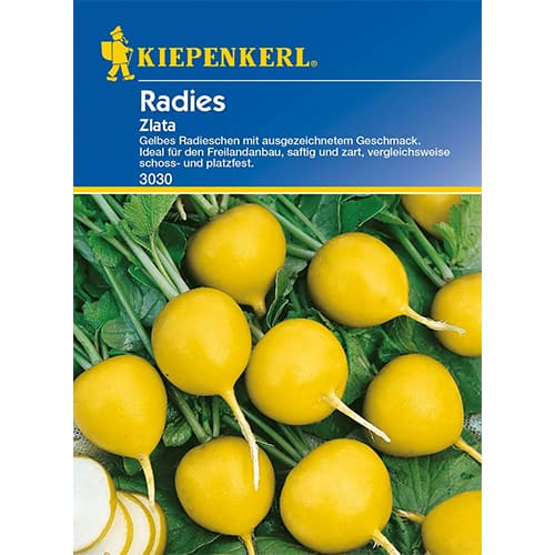 Rotkvica Zlata slika 1 interface.art 96654