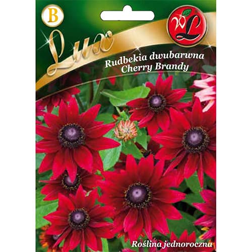 Rudbekija Cherry Brandy slika 1 interface.art 96777