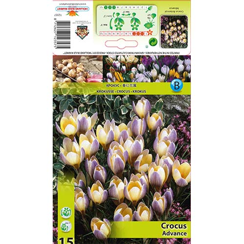 Šafran Advance slika 1 interface.art 68060