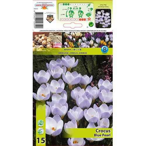 Šafran Blue Pearl slika 1 interface.art 67327