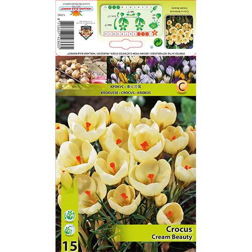 Šafran Cream Beauty slika 1 interface.art 67328