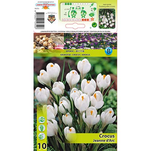 Šafran Jeanne d' Arc slika 1 interface.art 67332