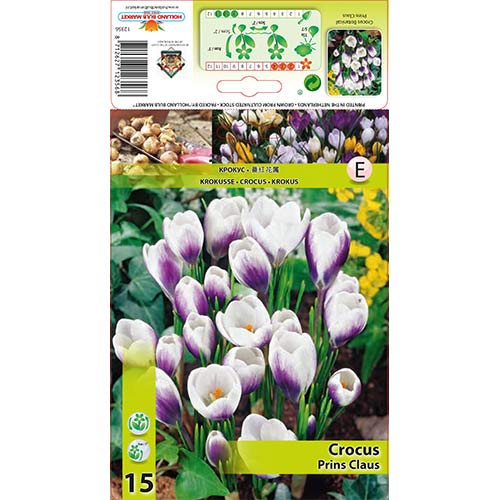 Šafran Prins Claus slika 1 interface.art 67618