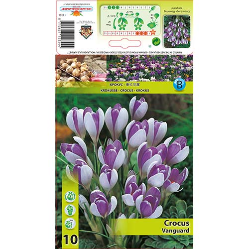 Šafran Vanguard slika 1 interface.art 67343