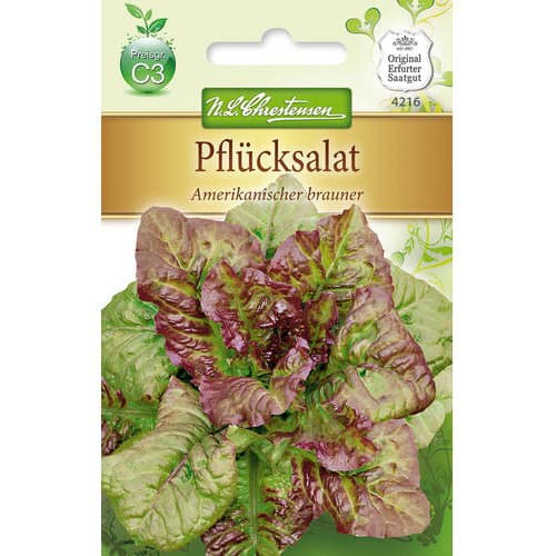 Salata Amerikanischer Brauner Chrestensen interface.art interface.photo 1 Salata Amerikanischer Brauner Chrestensen slika 1 interface.art 78777