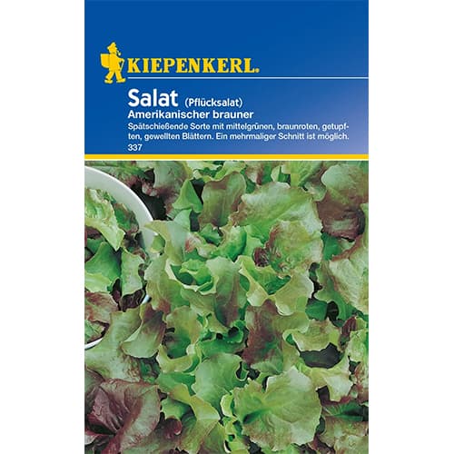 Salata Amerikanischer Brauner Kiepenkerl slika 1 interface.art 96647