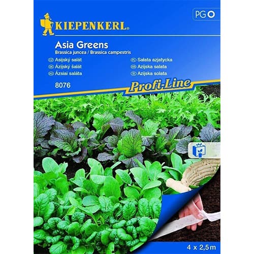 Salata Asia Greens, sjeme na traci slika 1 interface.art 87765