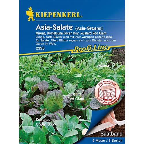 Salata Asia, mješavina sorti slika 1 interface.art 87291