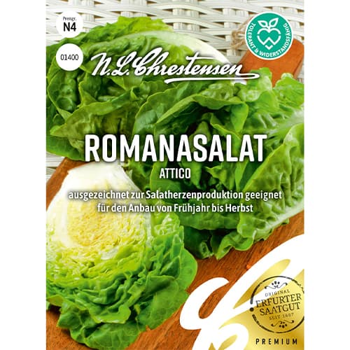 Salata Attico slika 1 interface.art 86092