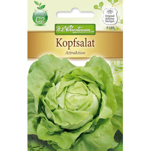 Salata Attraktion slika 1 interface.art 78768