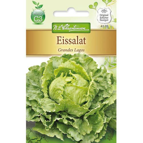 Salata Iceberg Grandes Lagos slika 1 interface.art 78761