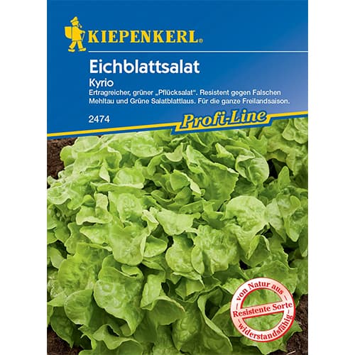 Salata Kyrioa slika 1 interface.art 96609