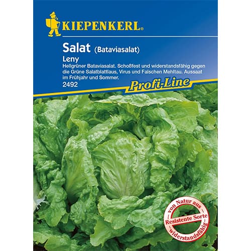 Salata Leny slika 1 interface.art 96595