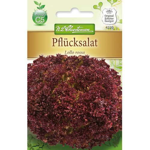 Salata Lollo Rossa slika 1 interface.art 78779