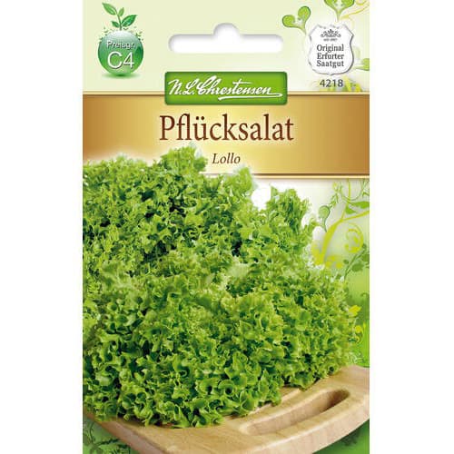 Salata Lollo slika 1 interface.art 78778