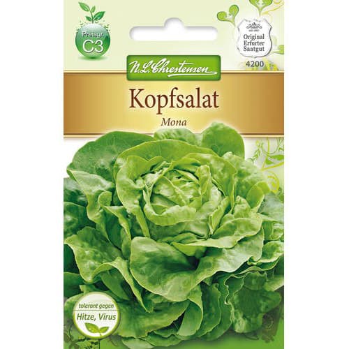 Salata Mona slika 1 interface.art 78771