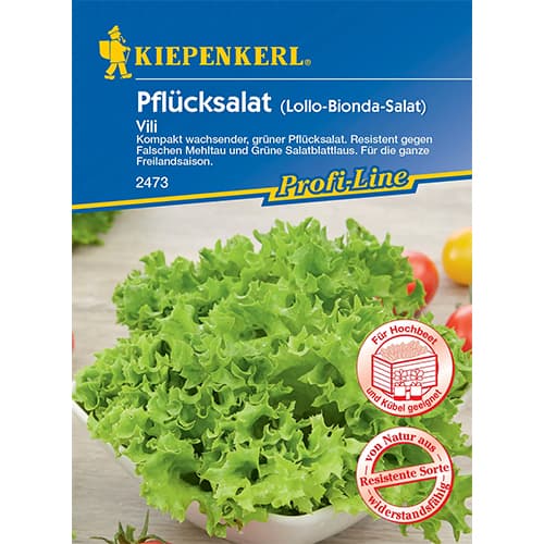 Salata Vili slika 1 interface.art 96649