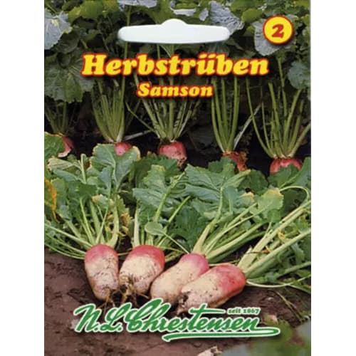 Samson jesenja repa slika 1 interface.art 96476