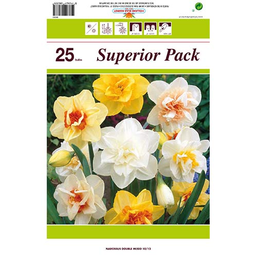 Set frotirnih narcisa mix (25 luk.) slika 1 interface.art 70317