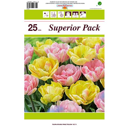 Set tulipana od 2 sorte interface.art interface.photo 1 Set tulipana od 2 sorte slika 1 interface.art 70316