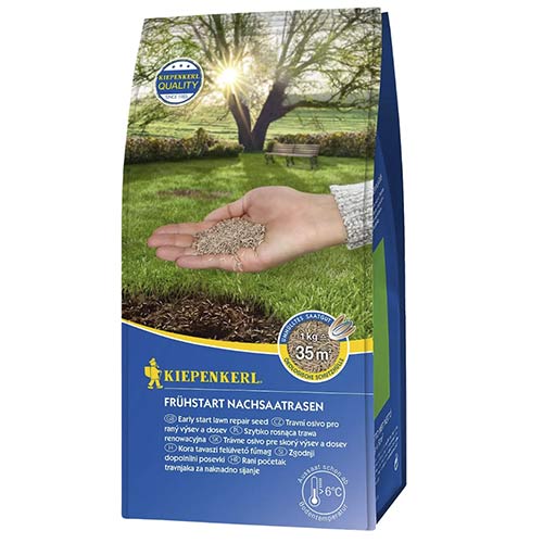 Sjeme trave Early Start slika 1 interface.art 96887