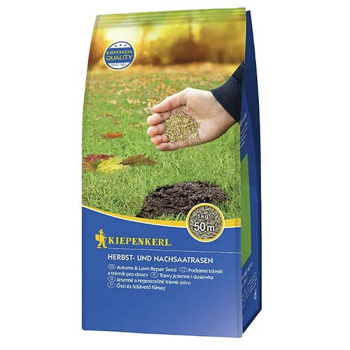 Sjeme trave za jesen i ponovnu sjetvu slika 1 interface.art 96888