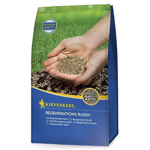 Sjeme trave za regeneraciju slika 1 interface.art 96891