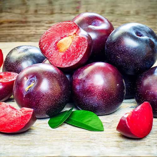 Šljiva Sonic Lady, С2 slika 1 interface.art 4313