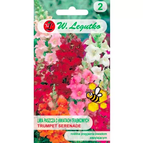 Snapdragon Low Trumpet Serenade slika 1 interface.art 78574