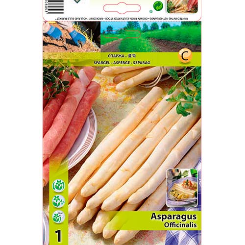 Šparoge (Asparagus) slika 1 interface.art 70501