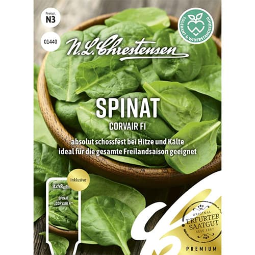 Špinat Corvair F1 Chrestensen slika 1 interface.art 96497
