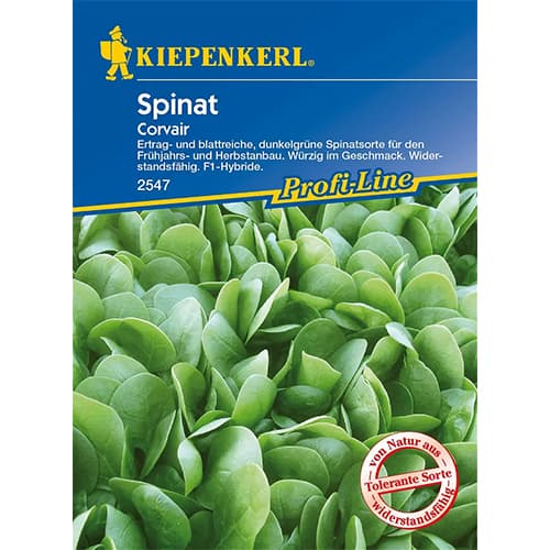 Špinat Corvair F1 Kiepenkerl slika 1 interface.art 86533