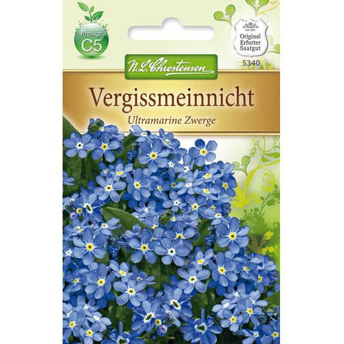 Spominčica Ultramarin slika 1 interface.art 78959