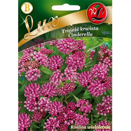 Srebrna svilenica Cinderella slika 1 interface.art 96780