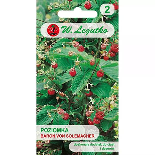 Šumska jagoda Baron von Solemacher slika 1 interface.art 69529