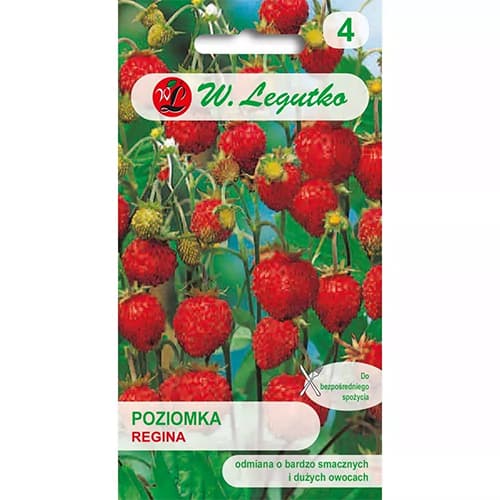 Šumska jagoda Regina slika 1 interface.art 86894