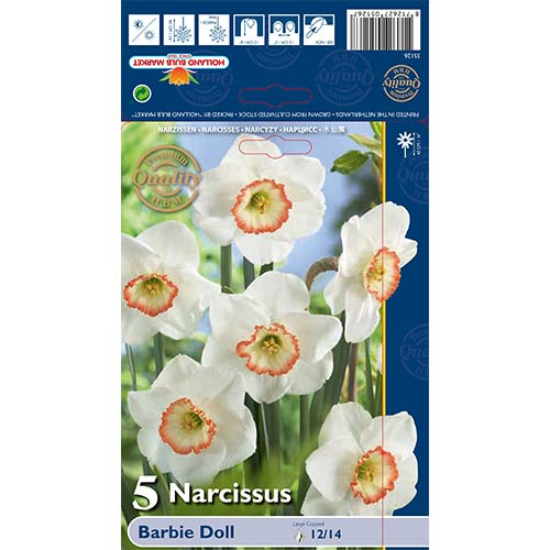 Sunovrat Barbie Doll slika 1 interface.art 67639