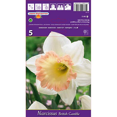 Sunovrat British Gamble slika 1 interface.art 67642