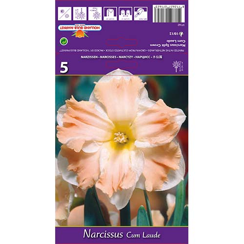 Sunovrat Cum Laude slika 1 interface.art 68098