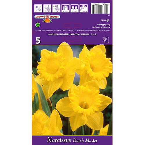 Sunovrat Dutch Master slika 1 interface.art 67647