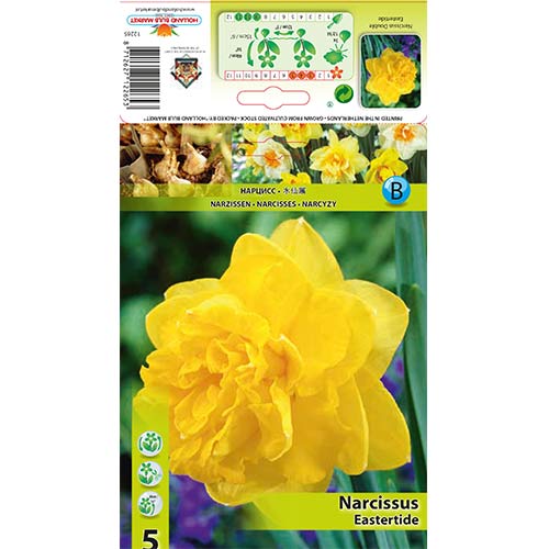 Sunovrat Eastertide slika 1 interface.art 70280