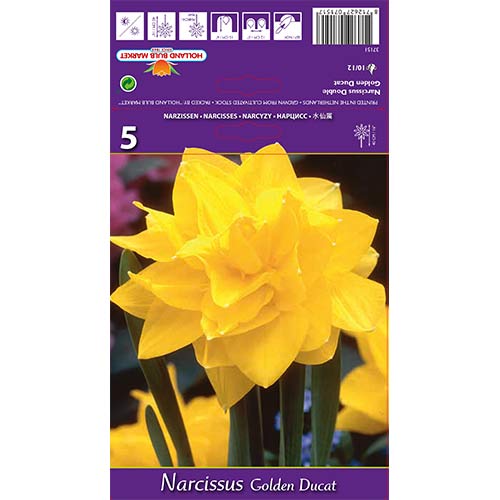 Sunovrat Golden Ducat slika 1 interface.art 68096