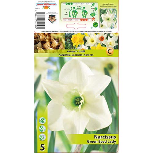 Sunovrat Green Eyed Lady slika 1 interface.art 67429