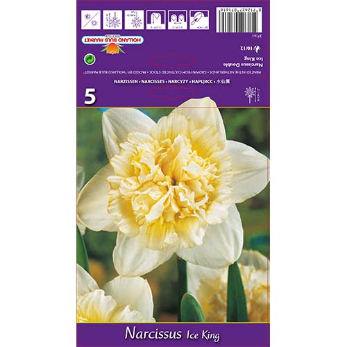 Sunovrat Ice King slika 1 interface.art 67415