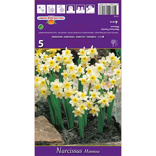 Sunovrat Minnow slika 1 interface.art 67652