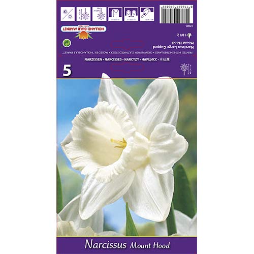 Sunovrat Mount Hood slika 1 interface.art 70214