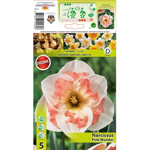 Sunovrat Pink Wonder slika 1 interface.art 67434